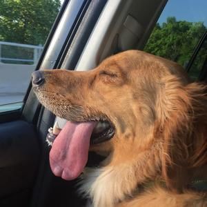 Meet your Posher, Caryn